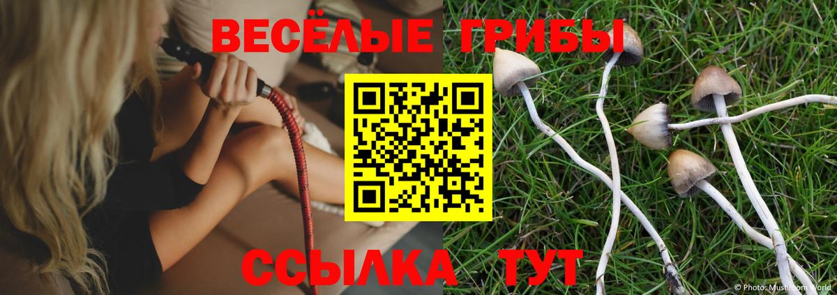 Чехов  Псилоцибиновые грибы ЛСД  Вход с VPN 